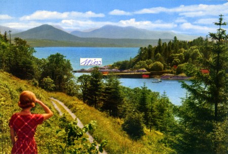 Roy Voss, from All the World's a Sunny Day, 2014