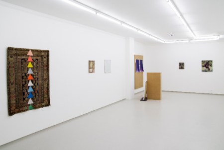 Promise of Palm Trees, Breese Little, installation view, 2015