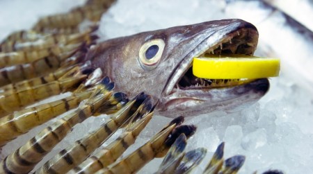 Sam Curtis, Launch event at Sluice Art Fair, Centre for Innovative and Radical Fishmongery, 2013; Courtesy of the Whitechapel Gallery