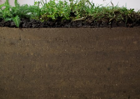 15 Nicole Vinokur, Great Piece of Turf- 10.5kN, 2014, 1000kg compressed soil, topsoil, harvested weeds