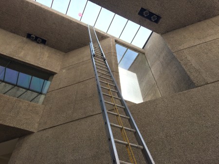 Elliott Burns_Fernando Ortega 'Nota Rosa' review_image 03