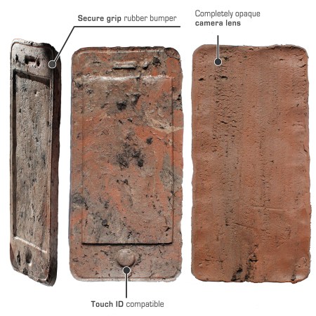 Feinberg_Zhang_image