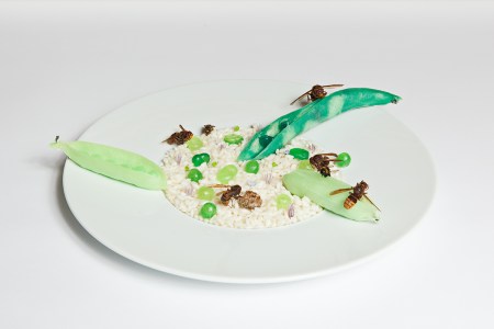 08-lucia-leuci-fondazione-pini-milan