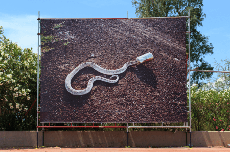 Elliott Burns_Sonora 128_image 07