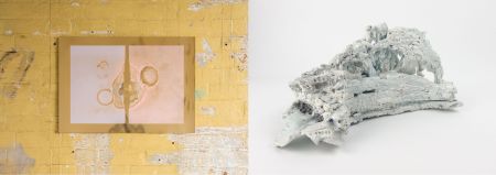 19944546_2067405589951820_946404289562721759_o