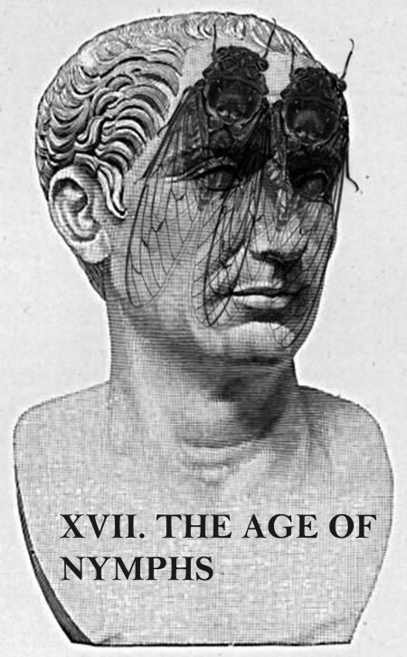xvii-the-age-of-nymphs